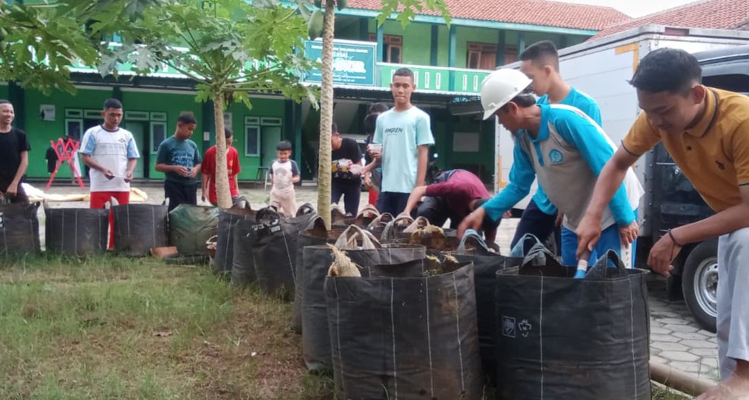 Kolaborasi MPM & Jatam ,Belasan Anak MCC LKSA An Nur Bercocok Tanam Sayuran Organik
