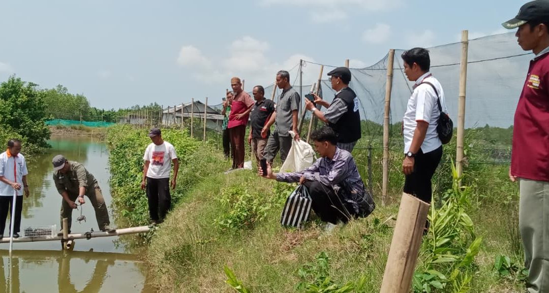 Pemberdayaan Ekonomi Jamaah dengan Bantuan Bibit Kepiting & Ikan Nila