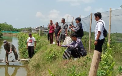 Pemberdayaan Ekonomi Jamaah dengan Bantuan Bibit Kepiting & Ikan Nila